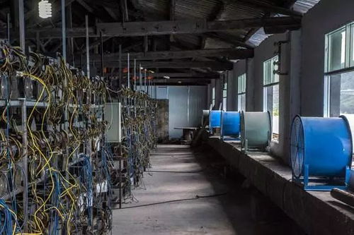 Large-scale mining farm hosting numerous Canaan mining machines