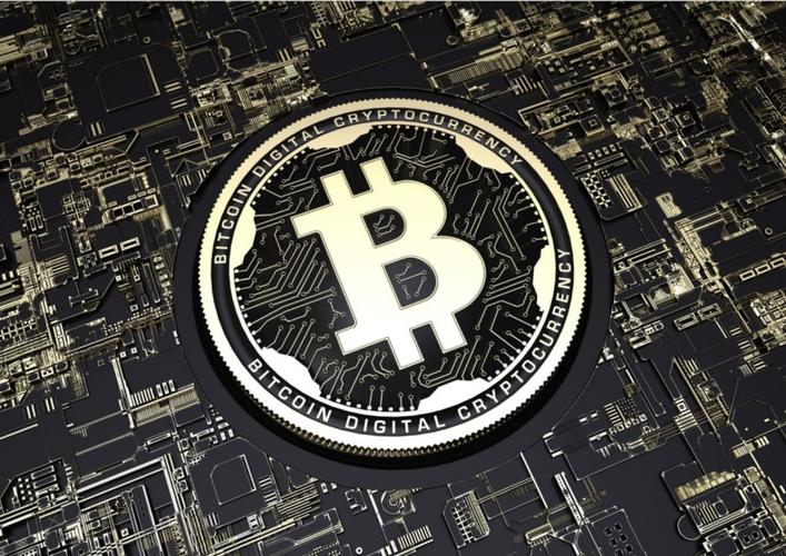 Large-scale mining farms offer economies of scale